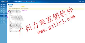直銷雙軌管理系統(tǒng)軟件開發(fā)全解析 功能、廠商與價(jià)格指南